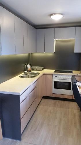 a kitchen with a sink and a stove at Domek Pod Brzozami in Świnna