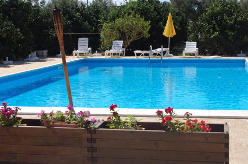 a large blue swimming pool with chairs and flowers at Il Giardino Del Sole in Agnone Bagni