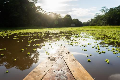 a boat in a body of water with leaves in the water at Ämak Iquitos Ecolodge - All Inclusive in Santa Clara