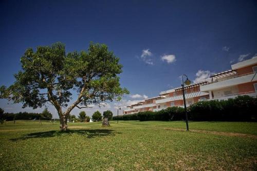 a tree in a field next to a building at Tramonti Residence in Sant'Isidoro