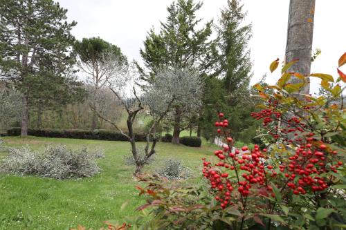 Gallery image of Agriturismo VILLA MOZART nel verde in Gubbio
