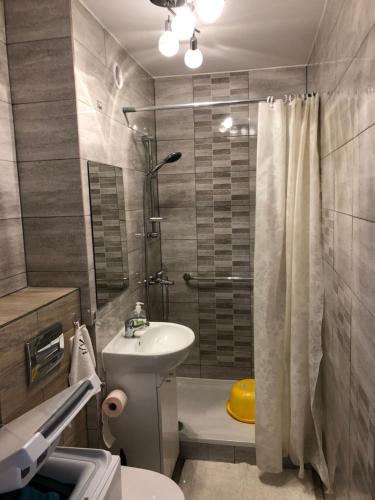 Apartament Sopot Kraszewskiego في سوبوت: حمام مع مرحاض ومغسلة ودش