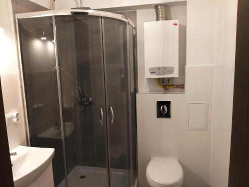 a bathroom with a shower with a toilet and a sink at de Gaulle'a 20 in Zabrze