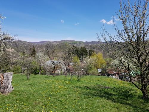 a green field with trees and hills in the background at Casa Parvu in Lunca Mare