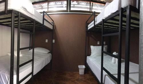 Krevet ili kreveti na sprat u jedinici u okviru objekta The Jungle Container