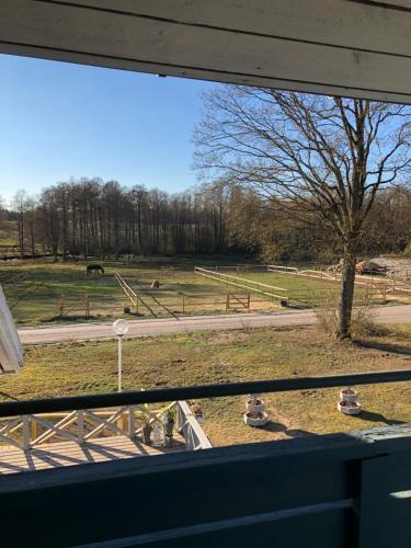 ユングビューにあるStegemans Horse hotel and Country Lodgeのギャラリーの写真