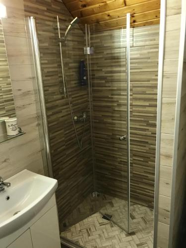 a bathroom with a shower and a sink at Pensiunea Sandra in Sibiel