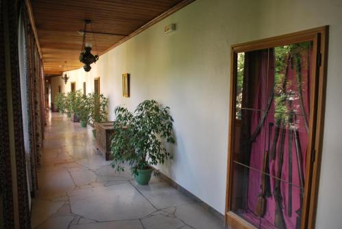 a hallway with potted plants on the side of a building at Thermal Resort Hotel Elisabethpark in Bad Gastein