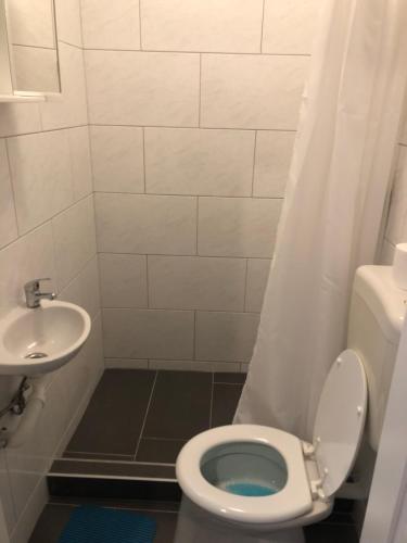 a bathroom with a toilet and a sink at Arbeiterwohnungen Graz Hauptbahnhof in Graz