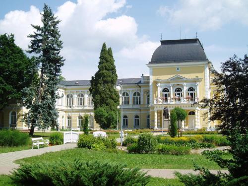 a large yellow house with a garden in front of it at Dr. Adler Spa & Kurhotel in Františkovy Lázně