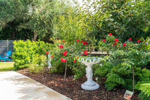 a bird bath in a garden with red roses at Glenbervie Bed & Breakfast in Whangarei