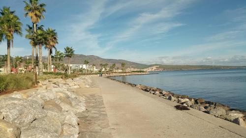 a path next to a body of water with palm trees at Mustapha 2 in Nador