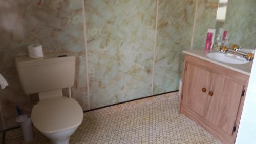 a bathroom with a toilet and a sink at Foveaux Hotel in Bluff