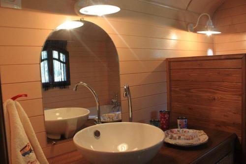 ein Badezimmer mit einem großen weißen Waschbecken und einem Spiegel in der Unterkunft La roulotte "Les Saintes" in Saintes-Maries-de-la-Mer