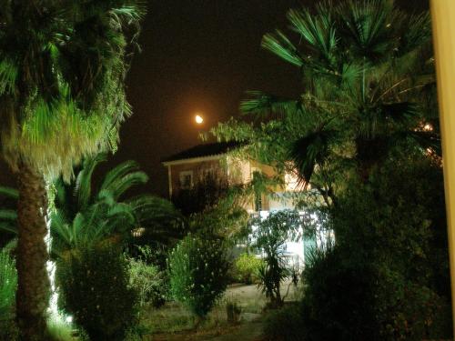 a group of palm trees and a building at night at Heliatoras Studios in Loutrópolis Thermís
