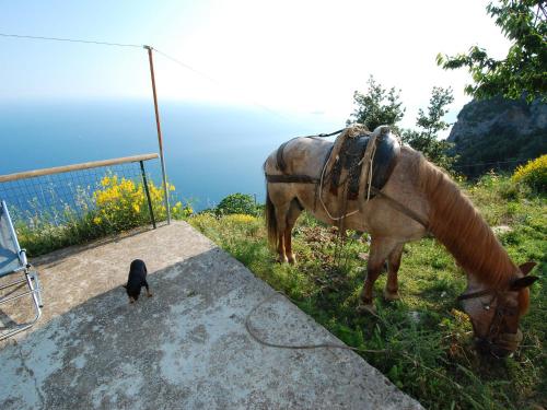 Φυσικό τοπίο κοντά σε αυτή η παραθεριστική κατοικία