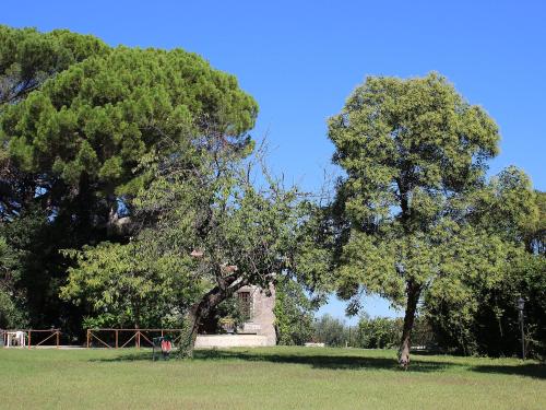 a park with two trees and a stone monument at Locazione Turistica Torretta Serviana in Montecelio