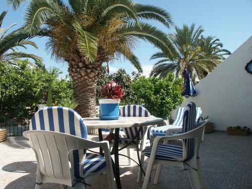 three chairs and a table with a palm tree at Holiday Home Etxe Zuri by Interhome in Calpe