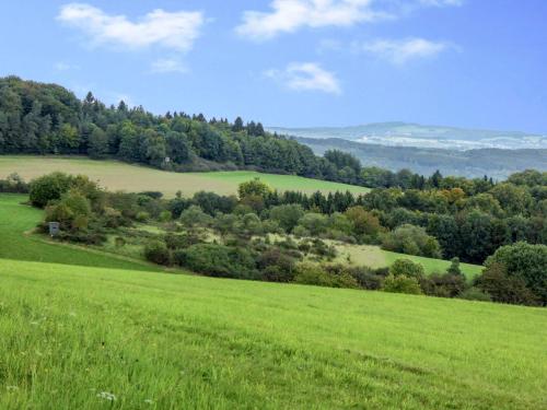 a green field with trees in the distance at Apartment Gebauer-1 by Interhome in Fuchshofen