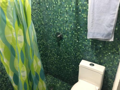 y baño con ducha, aseo y cortina de ducha. en Mini Loft Buenavista 106, en Ciudad de México