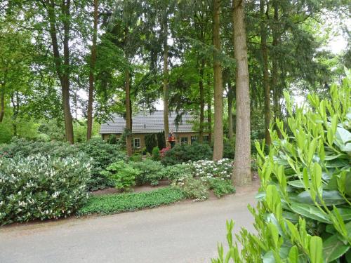 a house in the middle of a garden with flowers at Holiday Home Bosrijk Ruighenrode-5 by Interhome in Lochem