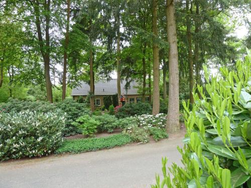 a house in the middle of a garden with flowers at Holiday Home 6L-5 by Interhome in Lochem