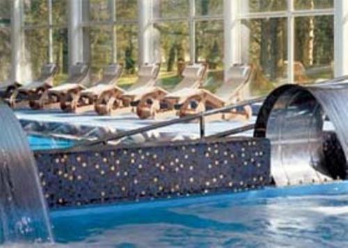 a group of puppies sitting in a swimming pool at Hotel Terme in Monticelli Terme