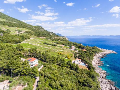 an aerial view of a vineyard on a hill next to the ocean at Apartment Plavac Mali-3 by Interhome in Gornji Dingač