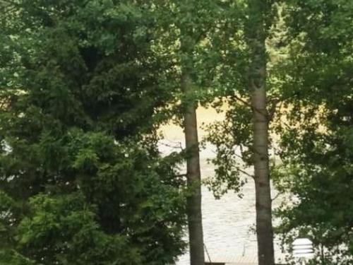 Un grupo de árboles que se encuentran uno al lado del otro en Holiday Home Hurran ranta by Interhome, en Rautela