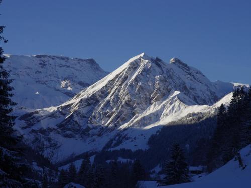 a snow covered mountain with trees in front of it at Apartment Anno Domini by Interhome in Adelboden