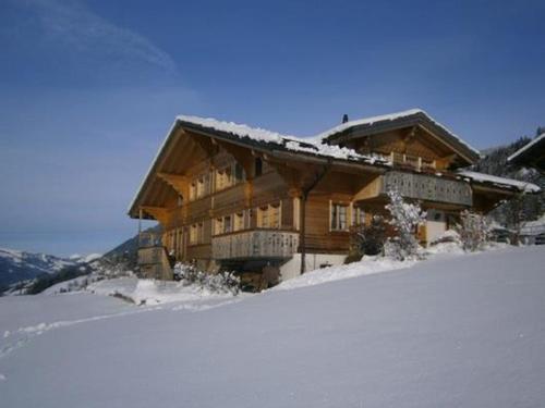 ein großes Holzhaus auf einem schneebedeckten Hang in der Unterkunft Apartment Annen by Interhome in Gsteig