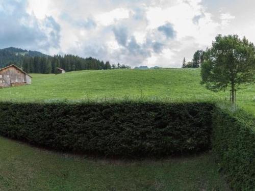 a hedge in front of a field with a tree at Apartment Les Silenes by Interhome in Gstaad
