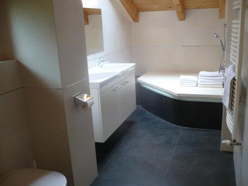 ein kleines Bad mit einem Waschbecken und einem WC in der Unterkunft Appartement Gasser in Anras