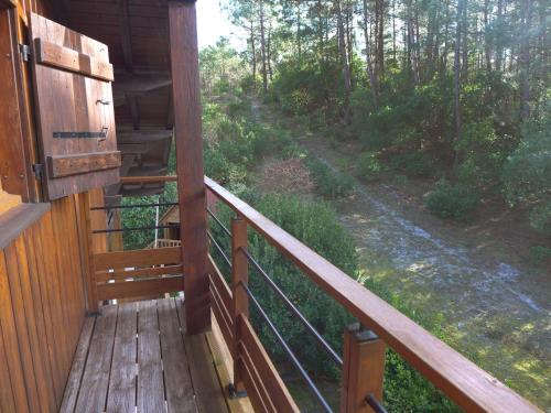 een veranda van een hut met uitzicht op een bos bij Holiday Home Lac et Forêt by Interhome in Le Moutchic