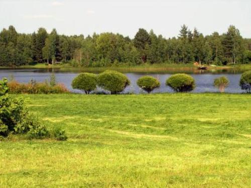 een grasveld met een meer en bomen op de achtergrond bij Holiday Home Petäjäniemi by Interhome in Saari