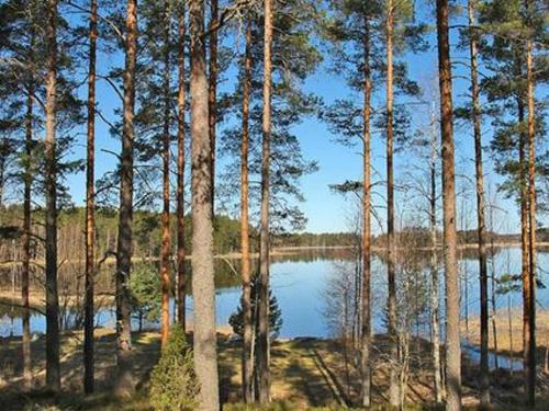 PätiäläにあるHoliday Home Näätämö by Interhomeの木の集団と水の集団
