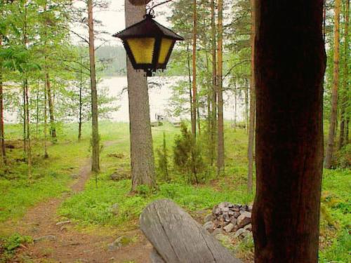 un semáforo colgando de un árbol en un bosque en Holiday Home Kultaranta by Interhome, en Pätiälä