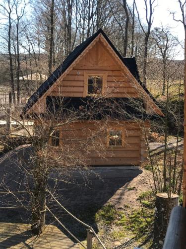 a log cabin with a black roof at Dartmoor Cottage in Steninge