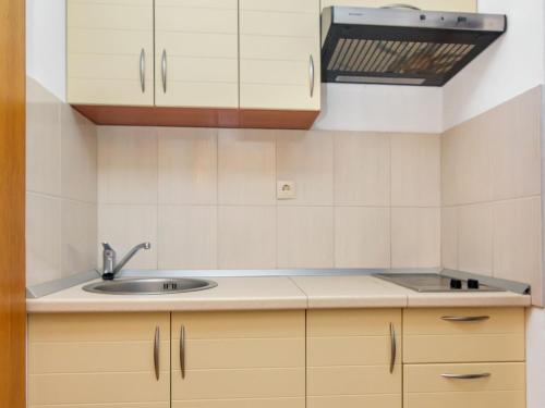 a kitchen with a sink and a counter top at Apartment Rubin-11 by Interhome in Selca kod Bogomolja