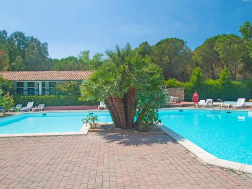 a palm tree sitting next to a swimming pool at Holiday Home Gineprino-7 by Interhome in Marina di Bibbona