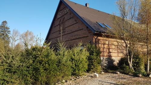 a barn with a bunch of trees in front of it at Dziewanna in Brzeziniec