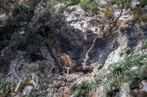 Φυσικό τοπίο κοντά σε αυτός ο ξενώνας