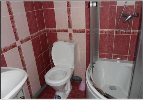 a bathroom with a toilet and a sink and a shower at Pid Yavorom in Ivano-Frankivsʼk