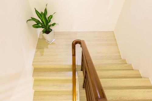Imagen de la galería de Araucaria Residence, en Huxi