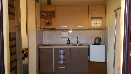 una pequeña cocina con fregadero y nevera. en Apartamentai Alyvu 14 Palanga, en Palanga