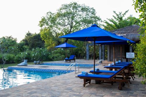 Πισίνα στο ή κοντά στο Amaara Forest Hotel Sigiriya