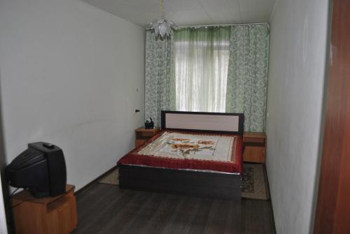 ズラトウーストにあるПроспект Гагарина,третий микрорайон,30аの小さなベッドルーム(ベッド1台、テレビ付)