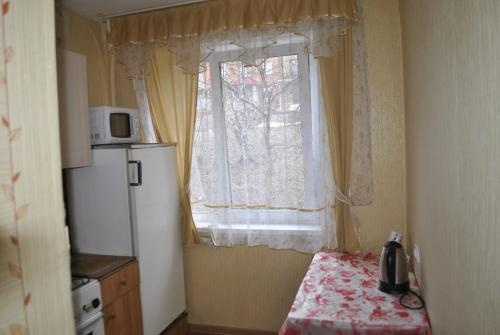 ズラトウーストにあるKlondaik apartment at 3 mikrorayon, 31の窓、冷蔵庫、電子レンジが備わる客室です。