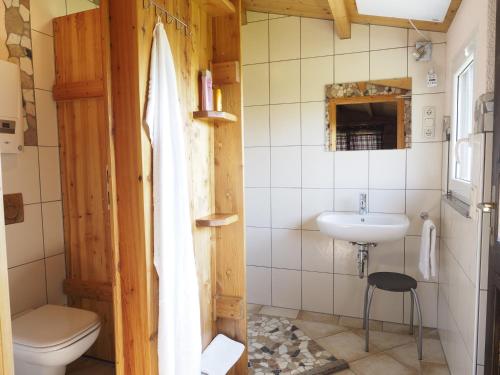 a bathroom with a toilet and a sink at Birkholmhof in Bärnau