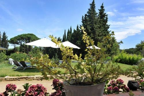 Κήπος έξω από το Domaine de la Salutière - Charme & Confort au cœur du Pays Cathare